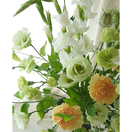 直前 グラジオラス 白 生花 通販 はなどんやアソシエ 直前 グラジオラス 白 生花 通販 はなどんやアソシエ