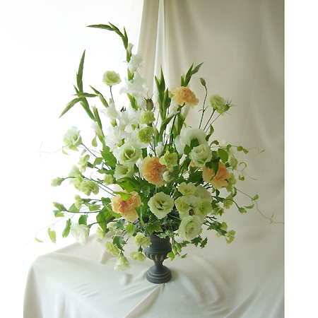 生花 グラジオラス 白 通販 はなどんやアソシエ 生花 グラジオラス 白 通販 はなどんやアソシエ