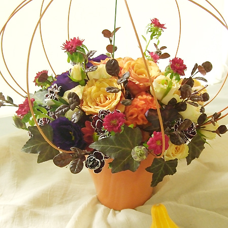 生花 アスター 赤 Ot ステラレッド ステラスカーレットなど 通販 はなどんやアソシエ 生花 アスター 赤 Ot ステラレッド ステラスカーレットなど 通販 はなどんやアソシエ