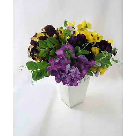 生花】箱売りパンジー(200本入・保水なし) ※基本的に火曜