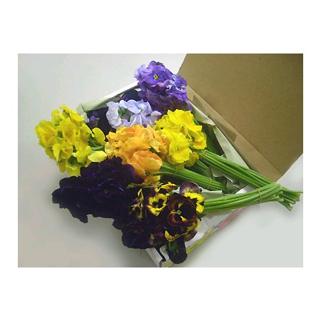 生花】箱売りパンジー(200本入・保水なし) ※基本的に火曜