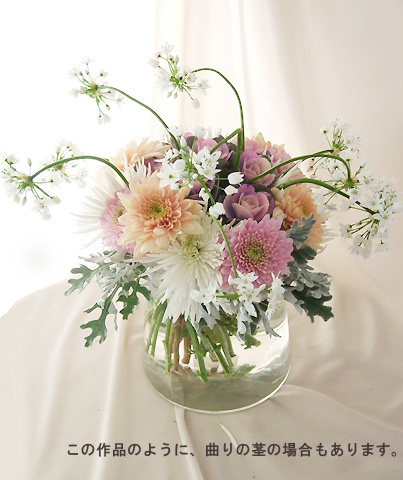 直前 アリウム コワニー 30cm 生花 通販 はなどんやアソシエ 直前 アリウム コワニー 30cm 生花 通販 はなどんやアソシエ