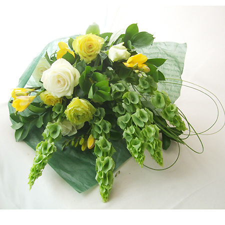 生花 モルセラ 70cm程度 Ja赤羽根など Ot 通販 はなどんやアソシエ 生花 モルセラ 70cm程度 Ja赤羽根など Ot 通販 はなどんやアソシエ