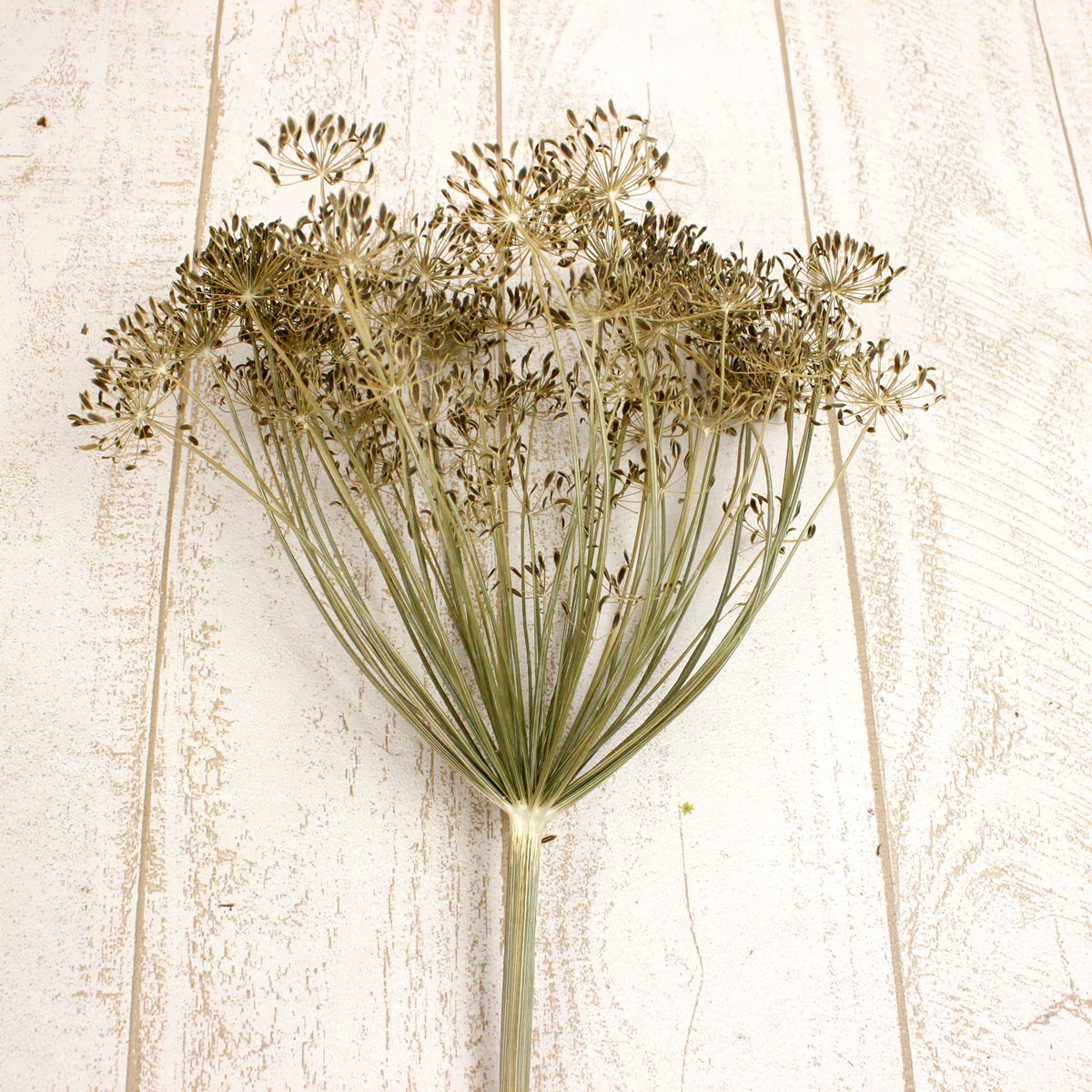 ドライフラワーシェード 楽天市場】ドライフラワー 吊るす（ペンダントライト・吊下げ灯