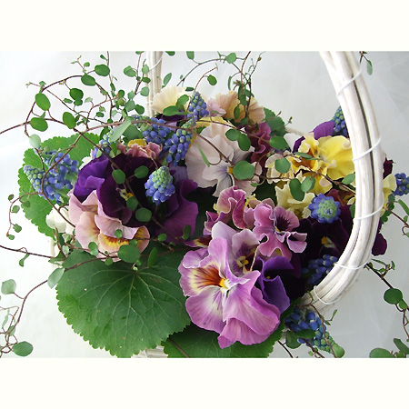 生花】ムスカリ ブルー(1束約20本入り・球根なし)今週のオトク - 花材