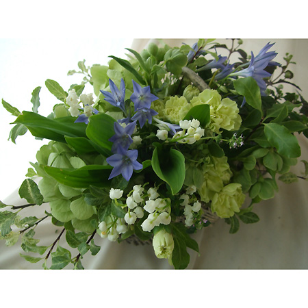 直前 ブローディア トリテリア アルーレ 紫 丸朝農協ほか 生花 通販 はなどんやアソシエ 直前 ブローディア トリテリア アルーレ 紫 丸朝農協ほか 生花 通販 はなどんやアソシエ