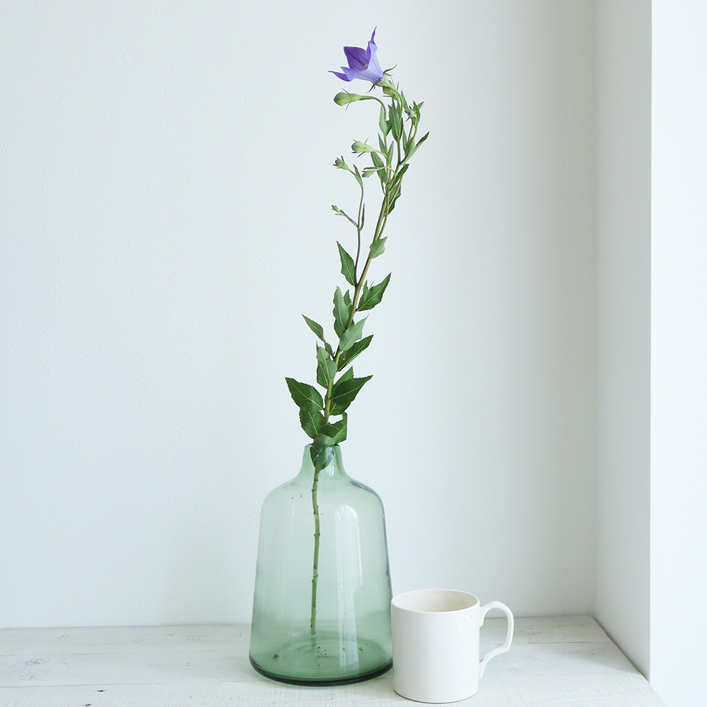 生花 キキョウ 紫 Ot 紫雲など 通販 はなどんやアソシエ 生花 キキョウ 紫 Ot 紫雲など 通販 はなどんやアソシエ