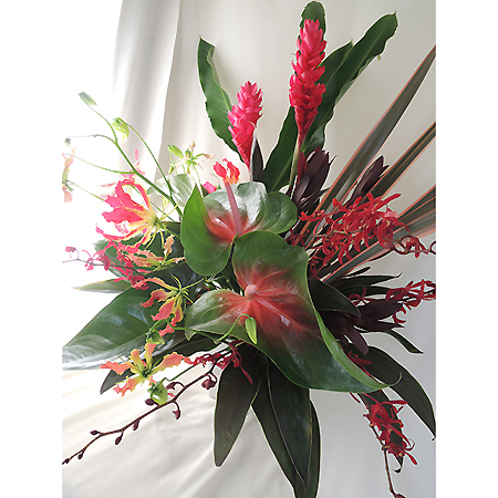 生花 レッドジンジャー 石垣熱帯植物園 早締切 74 通販 はなどんやアソシエ 生花 レッドジンジャー 石垣熱帯植物園 早締切 74 通販 はなどんやアソシエ