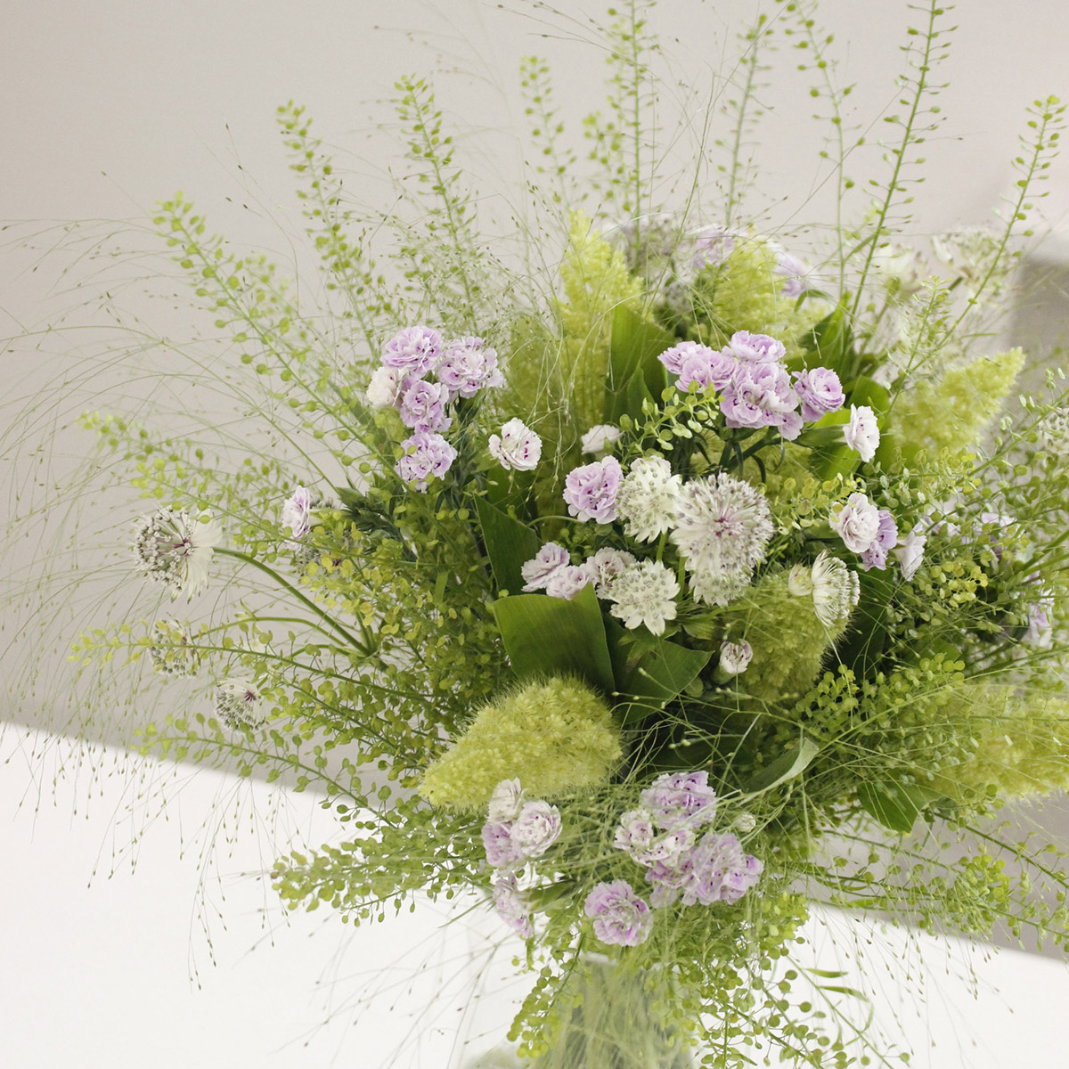 直前 アワ 70cm程度 安房農協ほか 時期によりボリューム変化あります 生花 通販 はなどんやアソシエ 直前 アワ 70cm程度 安房農協ほか 時期によりボリューム変化あります 生花 通販 はなどんやアソシエ