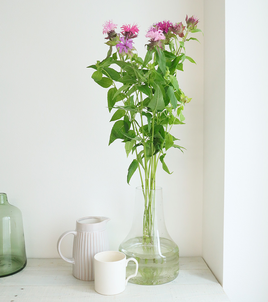 生花 モナルダ 赤 ピンク系 Ja六合村 田村さん Ot 通販 はなどんやアソシエ 生花 モナルダ 赤 ピンク系 Ja六合村 田村さん Ot 通販 はなどんやアソシエ