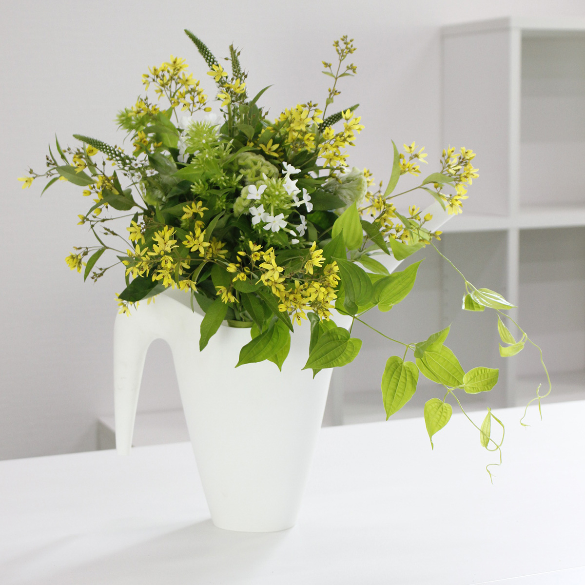 生花 フロックス 白 60cm Ot 通販 はなどんやアソシエ 生花 フロックス 白 60cm Ot 通販 はなどんやアソシエ