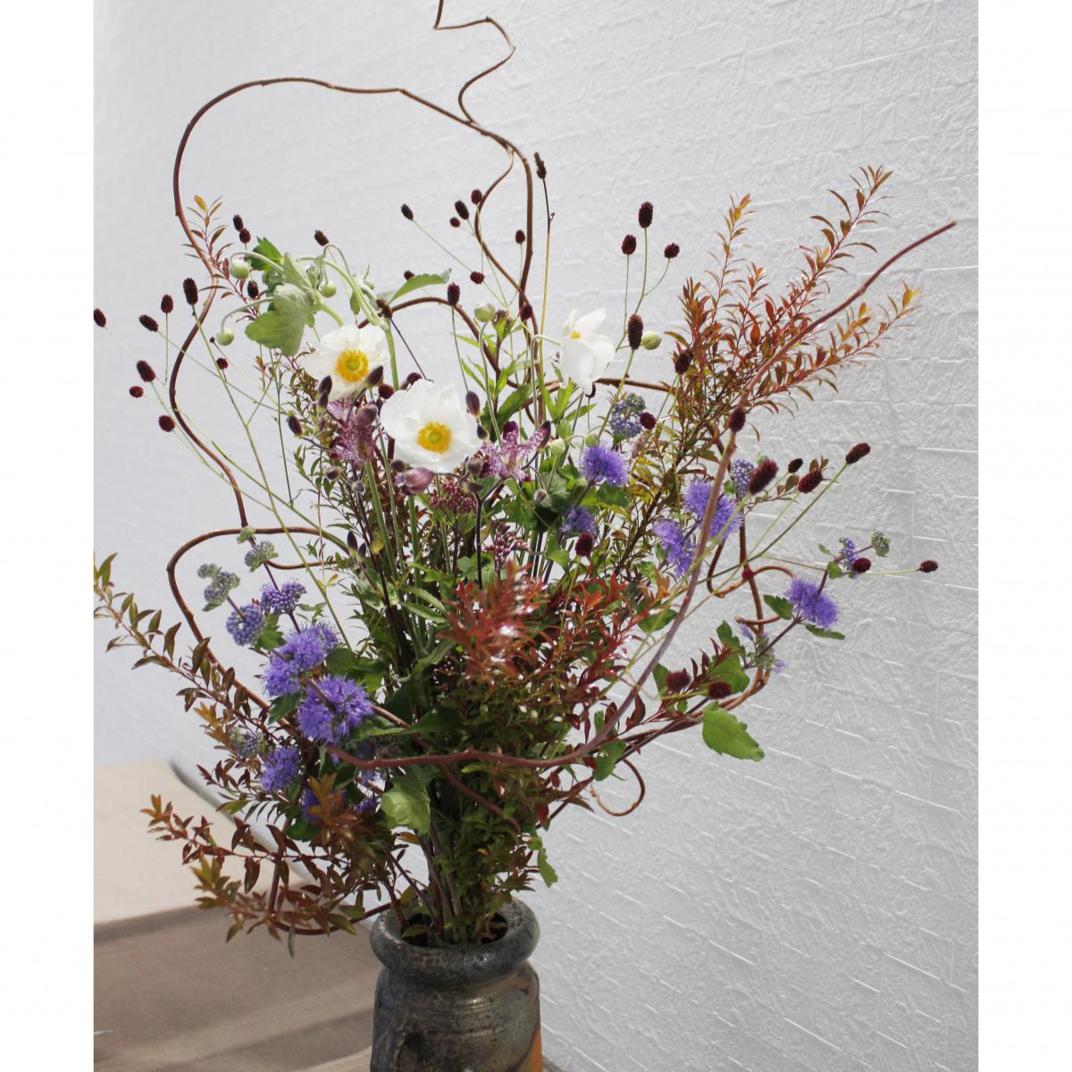 生花 秋明菊 白 火 木 土 午前お受け取りのみ 通販 はなどんやアソシエ 生花 秋明菊 白 火 木 土 午前お受け取りのみ 通販 はなどんやアソシエ