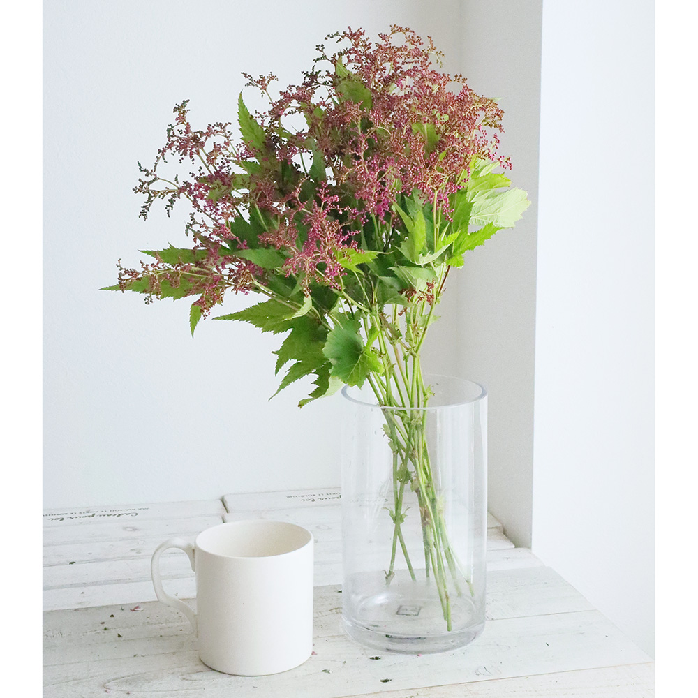 生花 京鹿の子 ピンク 50センチ程度 Fj 花福さんほか 通販 はなどんやアソシエ 生花 京鹿の子 ピンク 50センチ程度 Fj 花福さんほか 通販 はなどんやアソシエ