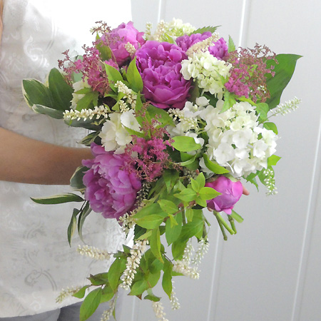 生花 京鹿の子 ピンク 50センチ程度 Fj 花福さんほか 通販 はなどんやアソシエ 生花 京鹿の子 ピンク 50センチ程度 Fj 花福さんほか 通販 はなどんやアソシエ