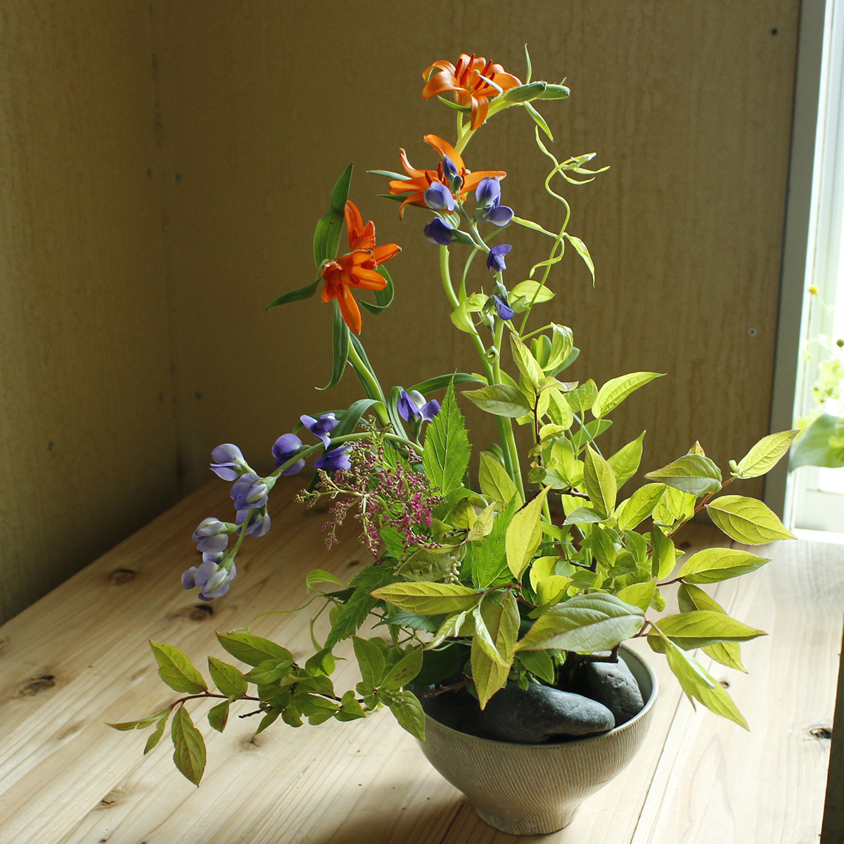 生花 京鹿の子 ピンク 50センチ程度 Fj 花福さんほか 通販 はなどんやアソシエ 生花 京鹿の子 ピンク 50センチ程度 Fj 花福さんほか 通販 はなどんやアソシエ