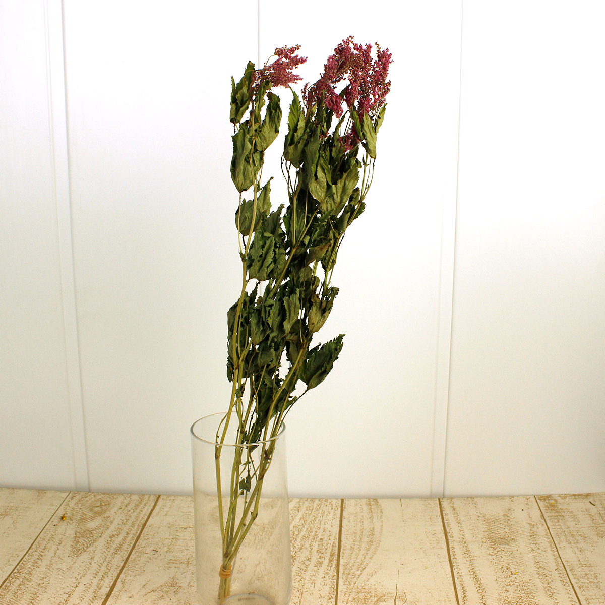 Off ドライ J Flow シモツケソウ 京鹿の子 束3 5本 S1 22 通販 はなどんやアソシエ Off ドライ J Flow シモツケソウ 京鹿の子 束3 5本 S1 22 通販 はなどんやアソシエ