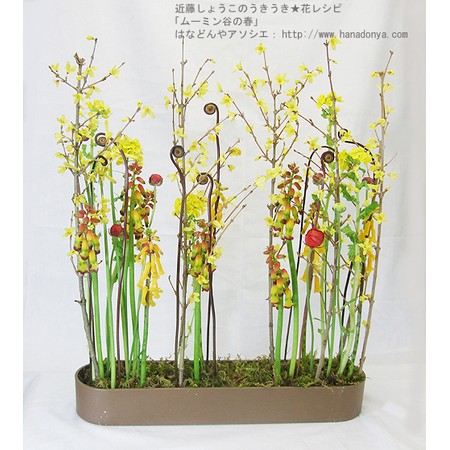 生花 姫ゼンマイ 本数単位 通販 はなどんやアソシエ 生花 姫ゼンマイ 本数単位 通販 はなどんやアソシエ