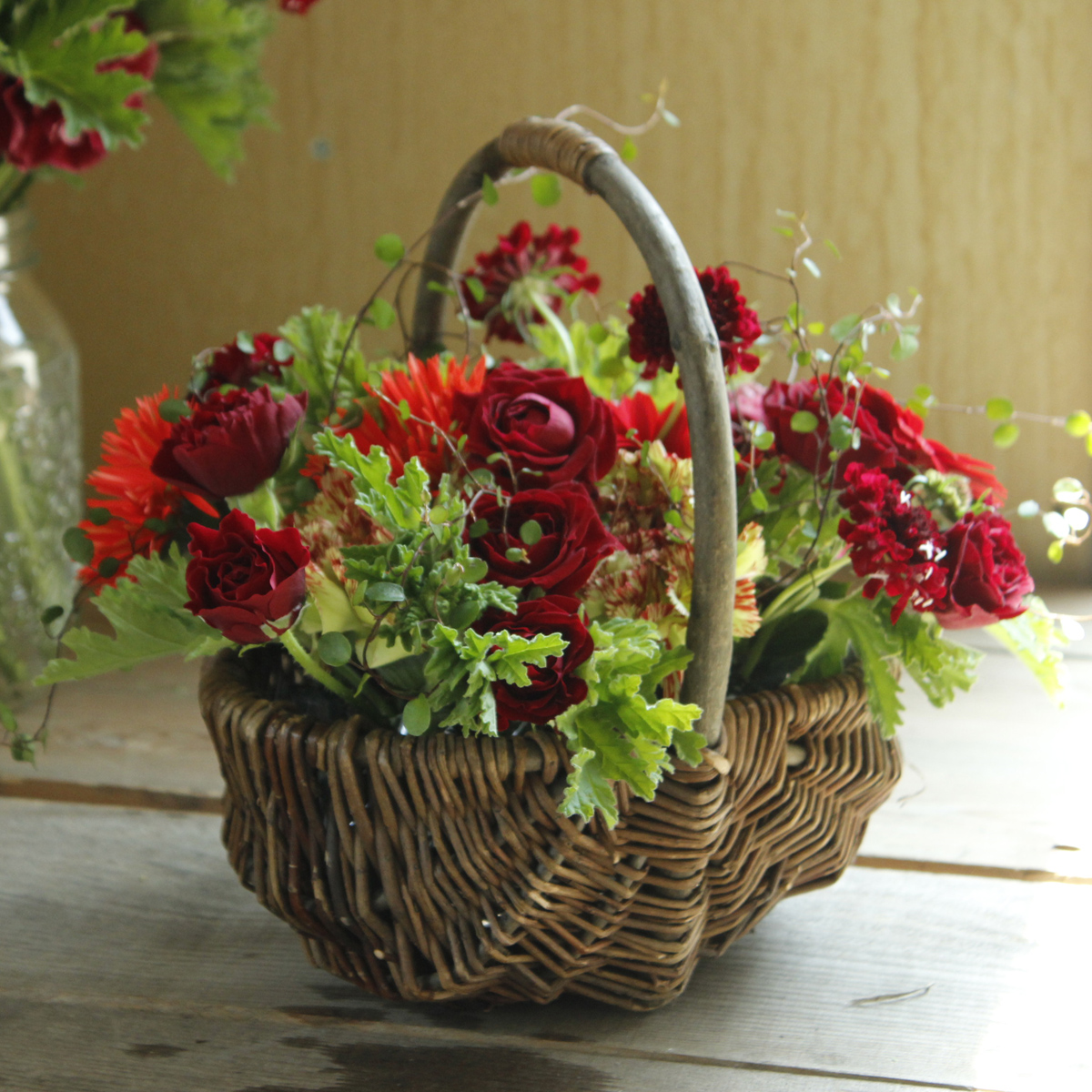 生花 ローズゼラニウム グリーン 青木園芸など Ot 通販 はなどんやアソシエ 生花 ローズゼラニウム グリーン 青木園芸など Ot 通販 はなどんやアソシエ