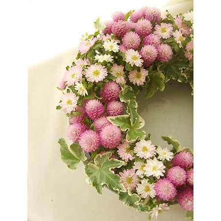 直前 アスター ステラトップローズ 淡ピンク 生花 通販 はなどんやアソシエ 直前 アスター ステラトップローズ 淡ピンク 生花 通販 はなどんやアソシエ