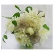 【08直前】翁草(オキナグサ)　シード　4cm