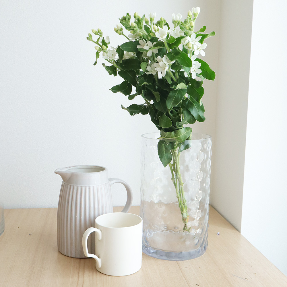 生花 ホワイトスター マーブルホワイト 丸弁 通販 はなどんやアソシエ 生花 ホワイトスター マーブルホワイト 丸弁 通販 はなどんやアソシエ