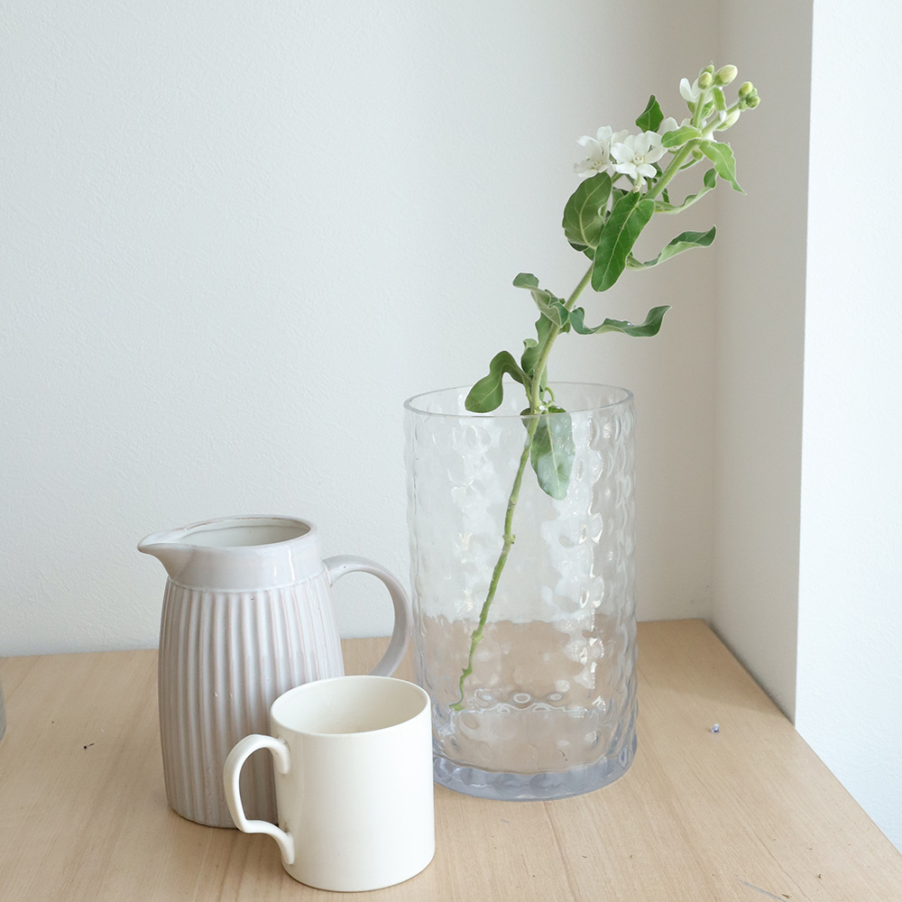 生花 ホワイトスター マーブルホワイト 丸弁 通販 はなどんやアソシエ 生花 ホワイトスター マーブルホワイト 丸弁 通販 はなどんやアソシエ