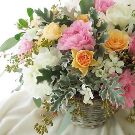 生花 ホワイトスター マーブルホワイト 丸弁 通販 はなどんやアソシエ 生花 ホワイトスター マーブルホワイト 丸弁 通販 はなどんやアソシエ