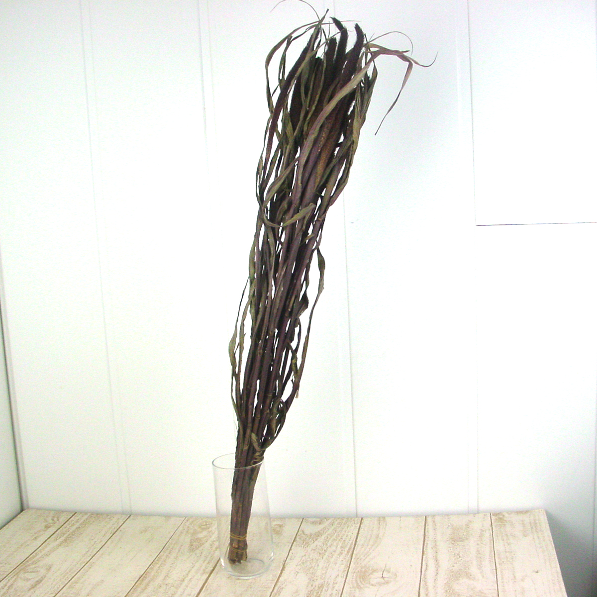 ドライ】J・flow/ミレット(黒きび)束約10本 - 花材通販はなどんやアソシエ