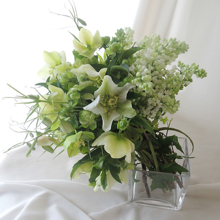 生花 クリスマスローズ グリーン系 群馬県 受取りは 火 木 土 Amに 湯揚げしてご利用ください 通販 はなどんやアソシエ 生花 クリスマスローズ グリーン系 群馬県 受取りは 火 木 土 Amに 湯揚げしてご利用ください 通販 はなどんやアソシエ