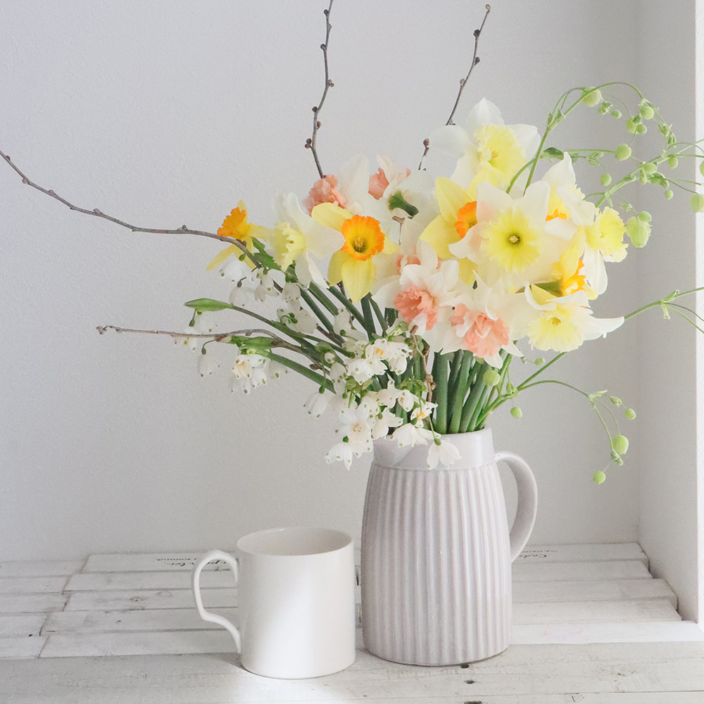 直前 輸入ラッパ水仙 黄色系 ガーデンジャイアントまたはピンザなど 生花 通販 はなどんやアソシエ 直前 輸入ラッパ水仙 黄色系 ガーデンジャイアントまたはピンザなど 生花 通販 はなどんやアソシエ