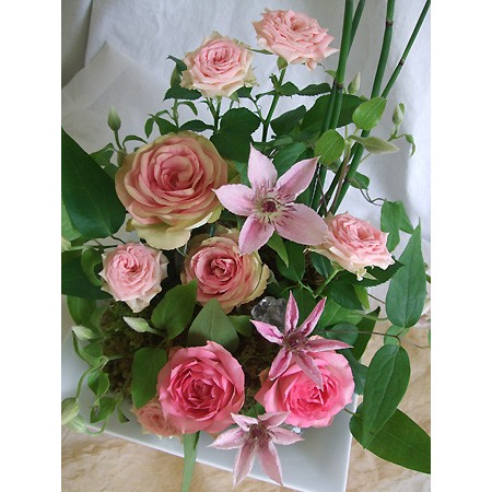 生花 クレマチス ピンクファンタジー 通販 はなどんやアソシエ 生花 クレマチス ピンクファンタジー 通販 はなどんやアソシエ