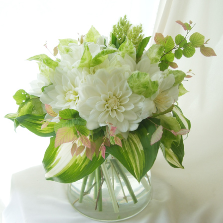 生花 ダリア シベリア 白 Ota 火 木 土 Amにお受け取りを 通販 はなどんやアソシエ 生花 ダリア シベリア 白 Ota 火 木 土 Amにお受け取りを 通販 はなどんやアソシエ