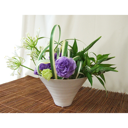 直前 アガパンサス 白 ジューンブライドなど 生花 通販 はなどんやアソシエ 直前 アガパンサス 白 ジューンブライドなど 生花 通販 はなどんやアソシエ