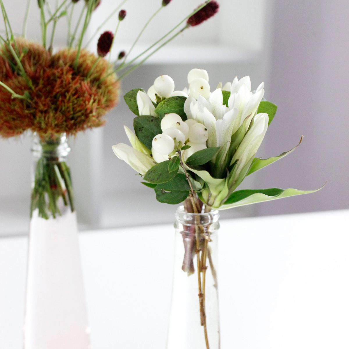 直前 笹リンドウ 白 通販 はなどんやアソシエ 直前 笹リンドウ 白 通販 はなどんやアソシエ