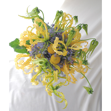 生花 アリウム ブルーパフューム 40 50cm Ot 通販 はなどんやアソシエ 生花 アリウム ブルーパフューム 40 50cm Ot 通販 はなどんやアソシエ