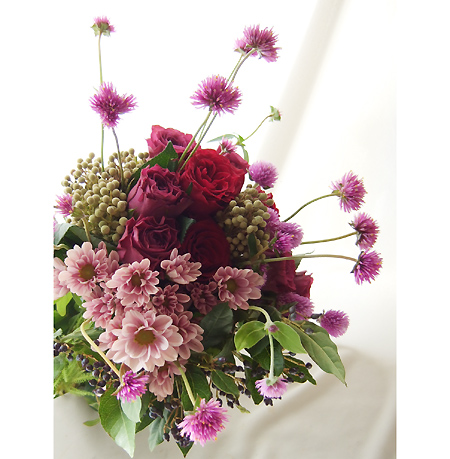 直前 金井園芸の千日紅 ファイヤーワークス トゲトゲ ピンク 通販 はなどんやアソシエ 直前 金井園芸の千日紅 ファイヤーワークス トゲトゲ ピンク 通販 はなどんやアソシエ