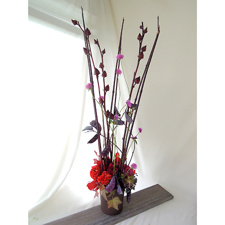 直前 金井園芸の千日紅 ファイヤーワークス トゲトゲ ピンク 通販 はなどんやアソシエ 直前 金井園芸の千日紅 ファイヤーワークス トゲトゲ ピンク 通販 はなどんやアソシエ