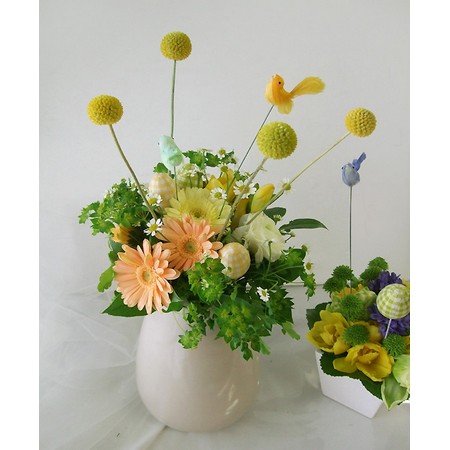 直前 Nodaフラワーのクラスペディア 50 60cm 生花 通販 はなどんやアソシエ 直前 Nodaフラワーのクラスペディア 50 60cm 生花 通販 はなどんやアソシエ