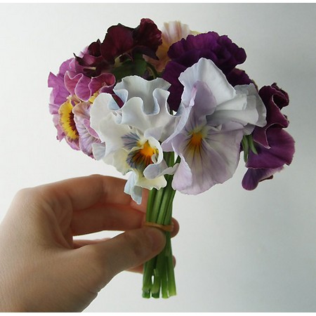生花 ボリューム割引 切花パンジー ムーランフリルベーシックmix Mix 1束約10本入り 通販 はなどんやアソシエ