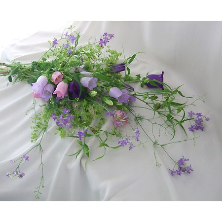 生花 カンパニュラ チャンピオンピンク 通販 はなどんやアソシエ 生花 カンパニュラ チャンピオンピンク 通販 はなどんやアソシエ