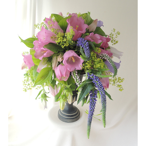 生花 カンパニュラ チャンピオンピンク 通販 はなどんやアソシエ 生花 カンパニュラ チャンピオンピンク 通販 はなどんやアソシエ