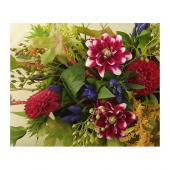 生花】5本売り!ダリア祝歌(赤×白):純花智さんの5本売り!ダリア - 花材
