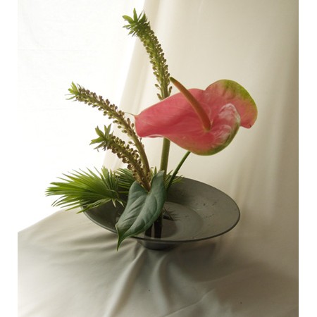 生花 忍足さんのミニパイナップルリリー ユーコミスプンクタータ 70cm 通販 はなどんやアソシエ 生花 忍足さんのミニパイナップルリリー ユーコミスプンクタータ 70cm 通販 はなどんやアソシエ