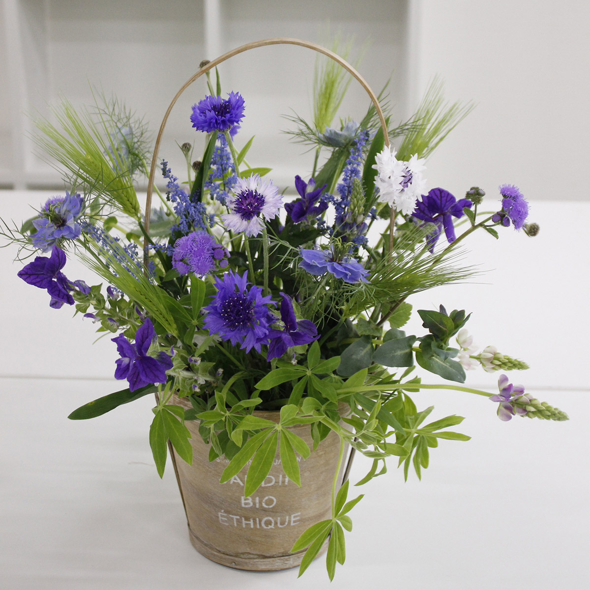 生花 伊東さんのルピナス ピクシーデライト ミックス Fj 通販 はなどんやアソシエ 生花 伊東さんのルピナス ピクシーデライト ミックス Fj 通販 はなどんやアソシエ