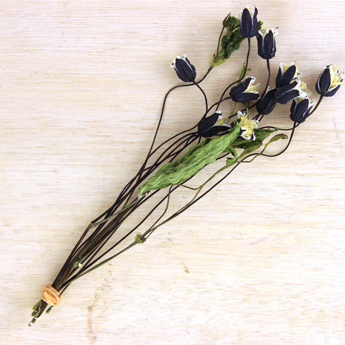 ドライ】J・flow/クレマチス ベルテッセン(ブルー〜パープル系)1束約10