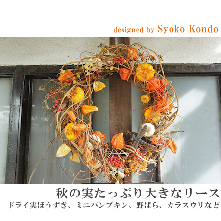 08直前FJ】熊本県 ほおずき3Lサイズ - 花材通販はなどんやアソシエ