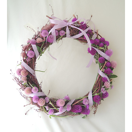 生花】中里さんの千日紅 ローズネオン(紫) - 花材通販はなどんやアソシエ