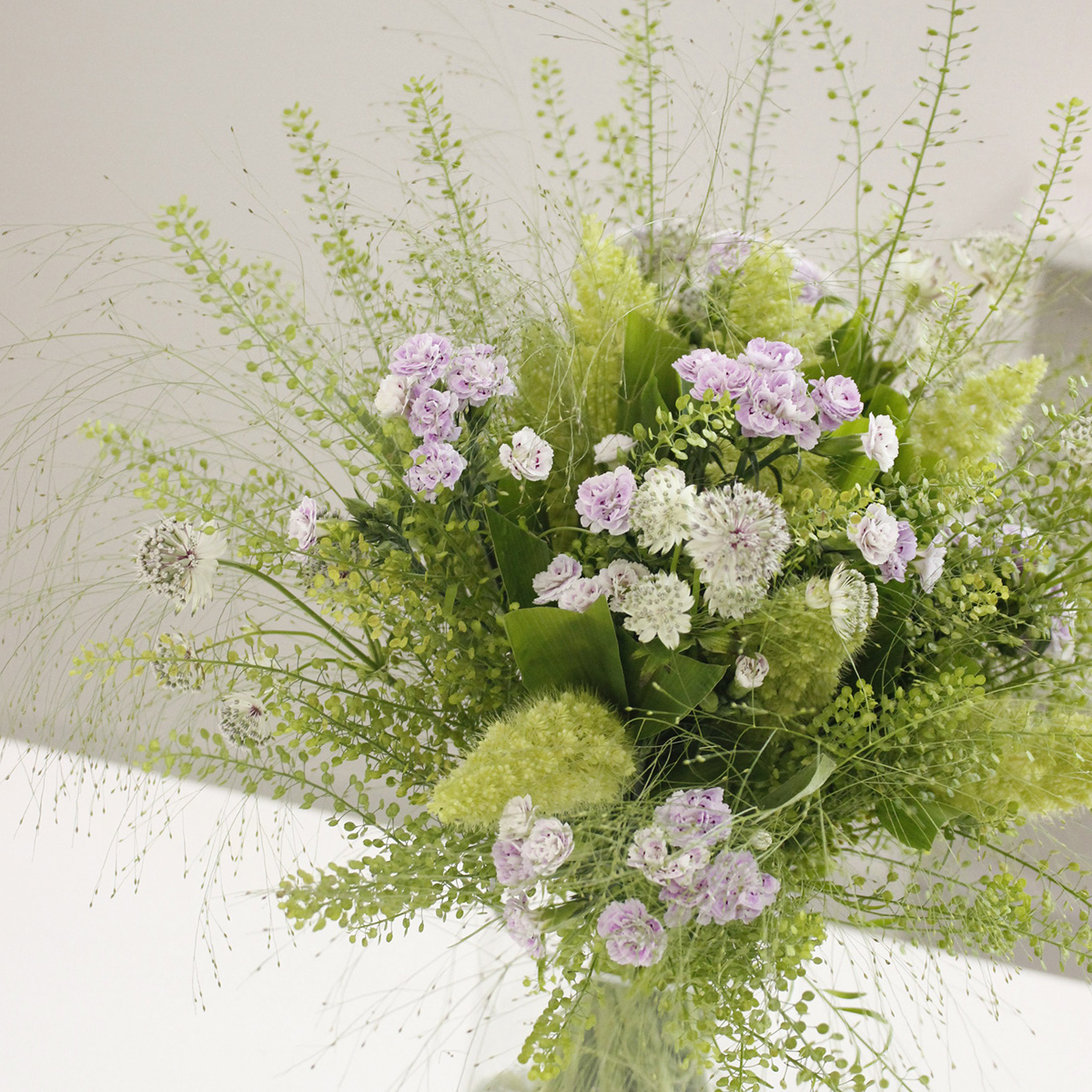 直前 タラスピ オファリム 西洋ナズナ 60cm 生花 通販 はなどんやアソシエ 直前 タラスピ オファリム 西洋ナズナ 60cm 生花 通販 はなどんやアソシエ