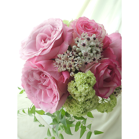 直前 アリウム シルバースプリング 白 ピンク芯 50cm 生花 通販 はなどんやアソシエ 直前 アリウム シルバースプリング 白 ピンク芯 50cm 生花 通販 はなどんやアソシエ