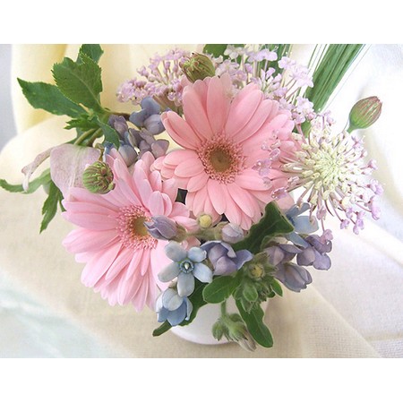 生花 ブルースター など青い花 通販 はなどんやアソシエ 生花 ブルースター など青い花 通販 はなどんやアソシエ
